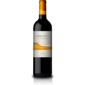 Bodegas Y Vinedos Huarpe Mendoza Malbec