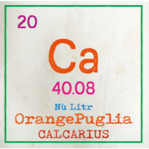Calcarius Orange Puglia Label