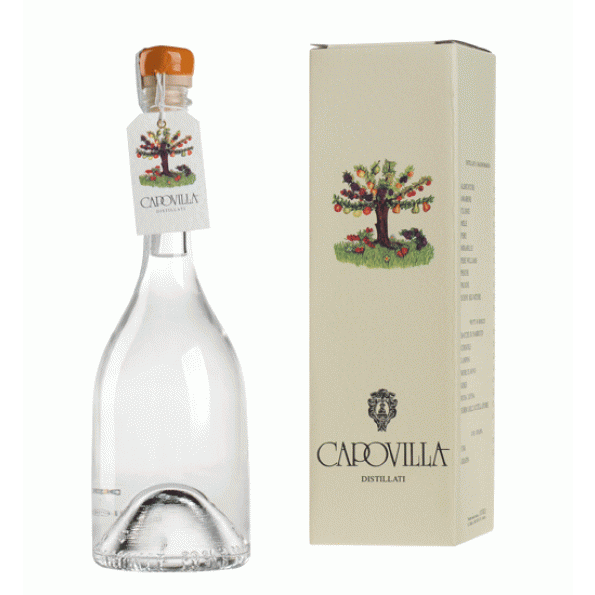 Capovilla Distillato Di Albicocche