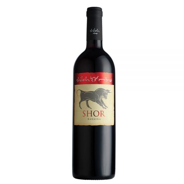 Shiloh 'Shor' Barbera