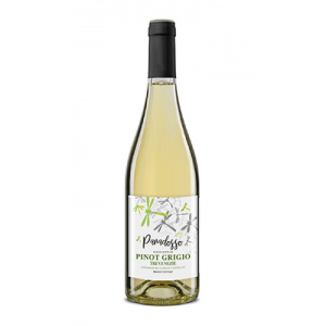 Paradosso Pinot Grigio