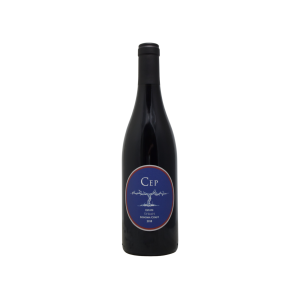 Cep Syrah 2019