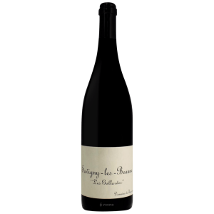 Domaine De Chassorney “Les Gollardes” Savigny-les-Beaune 2020