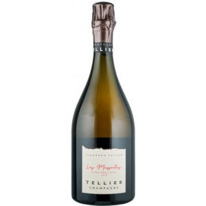 2018 Tellier 'Les Massales' Extra Brut Millesime