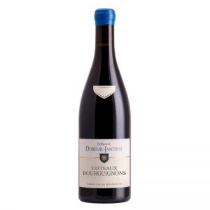 2020 Vincent Dureuil-Janthial Coteaux Bourguignons