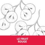 Laurent Cazottes 'Le Fruit Rouge'