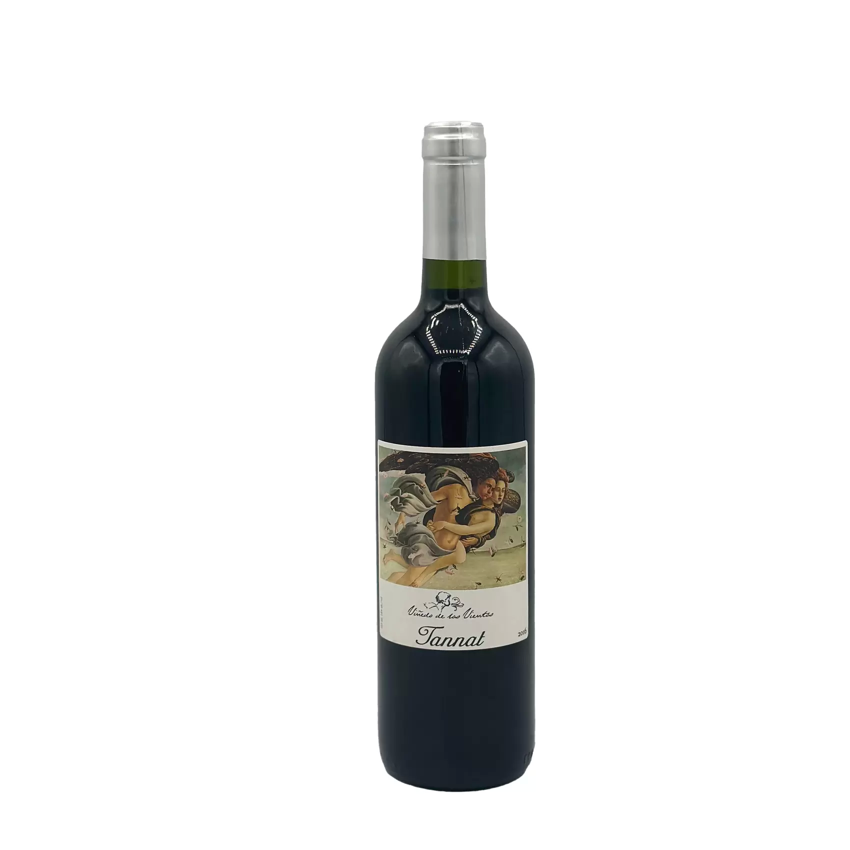 2018 Pablo Fallabrino - Vinedo de los Vientos Tannat