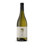 2023 Pighin Pinot Grigio Friuli Grave